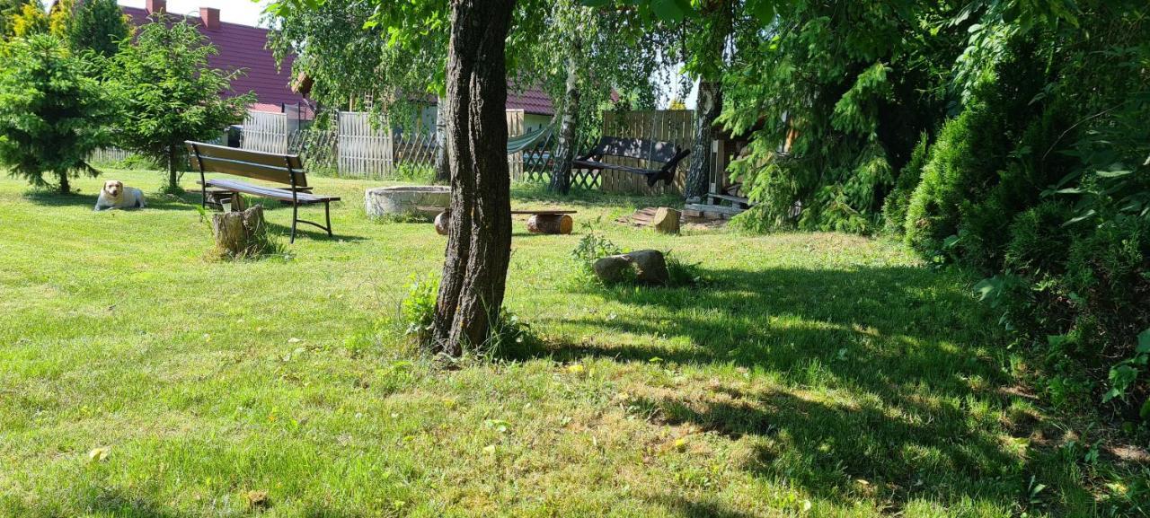 Oliwkowe Jerzykowo -Klimatyzacja Villa Radzieje Bagian luar foto