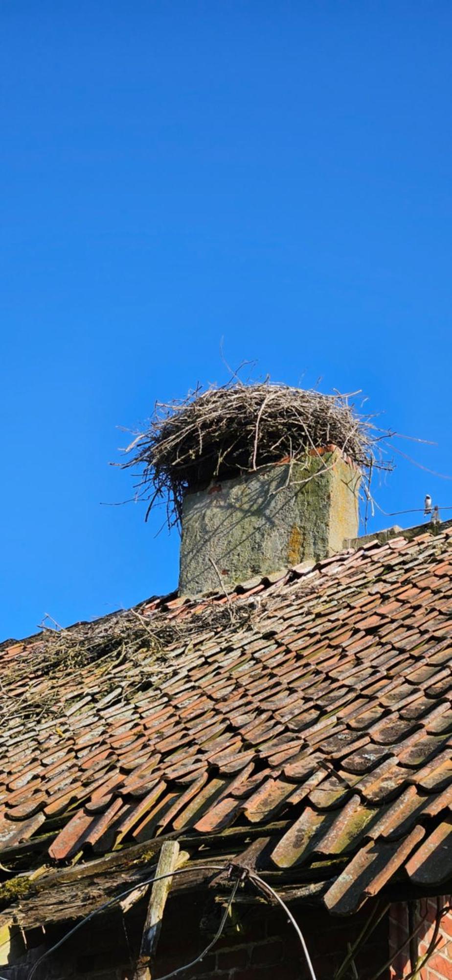 Oliwkowe Jerzykowo -Klimatyzacja Villa Radzieje Bagian luar foto